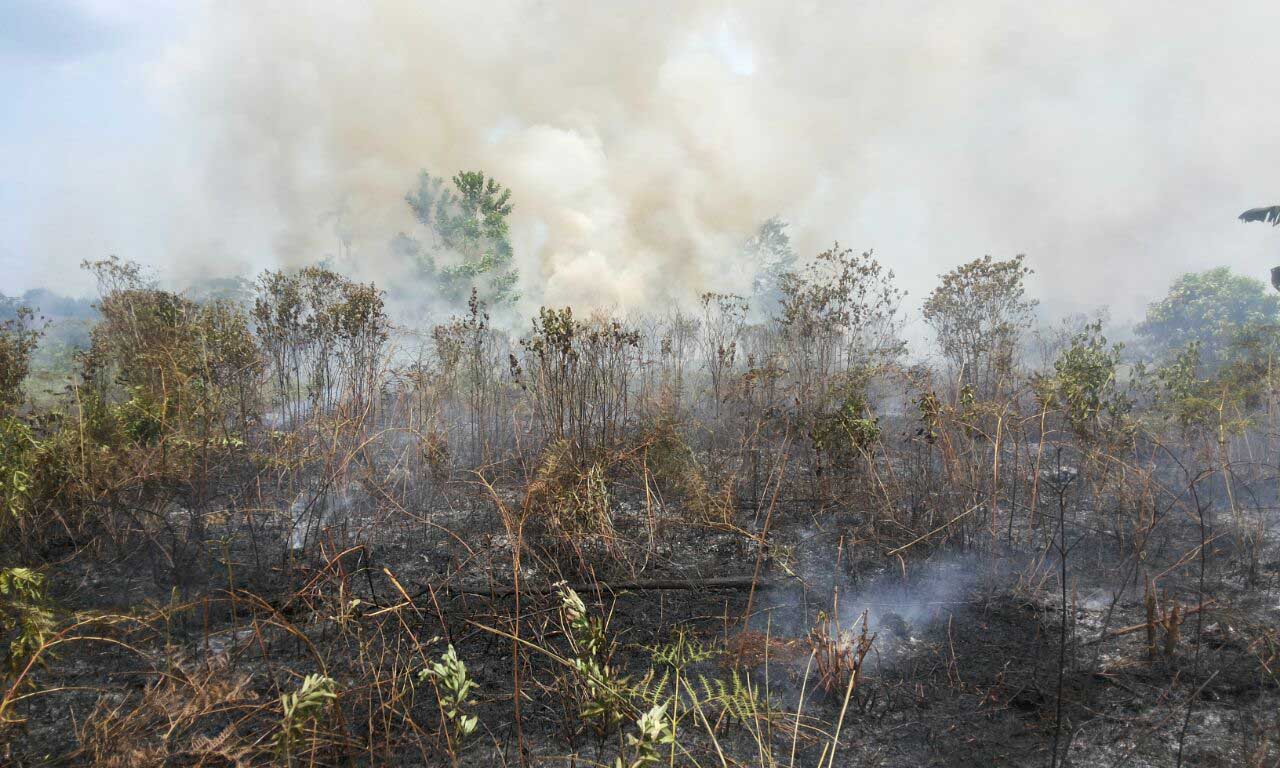 Kebakaran Lahan Di Jl. Anggrek Dusun Taman Sari Desa Bantan Tua