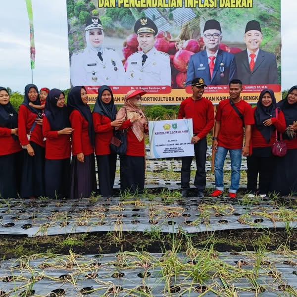 PANEN RAYA DINAS TANAMAN PANGAN HOLTIKULTURA DAN PETERNAKAN KABUPATEN BENGKALIS DI DESA BANTAN TUA